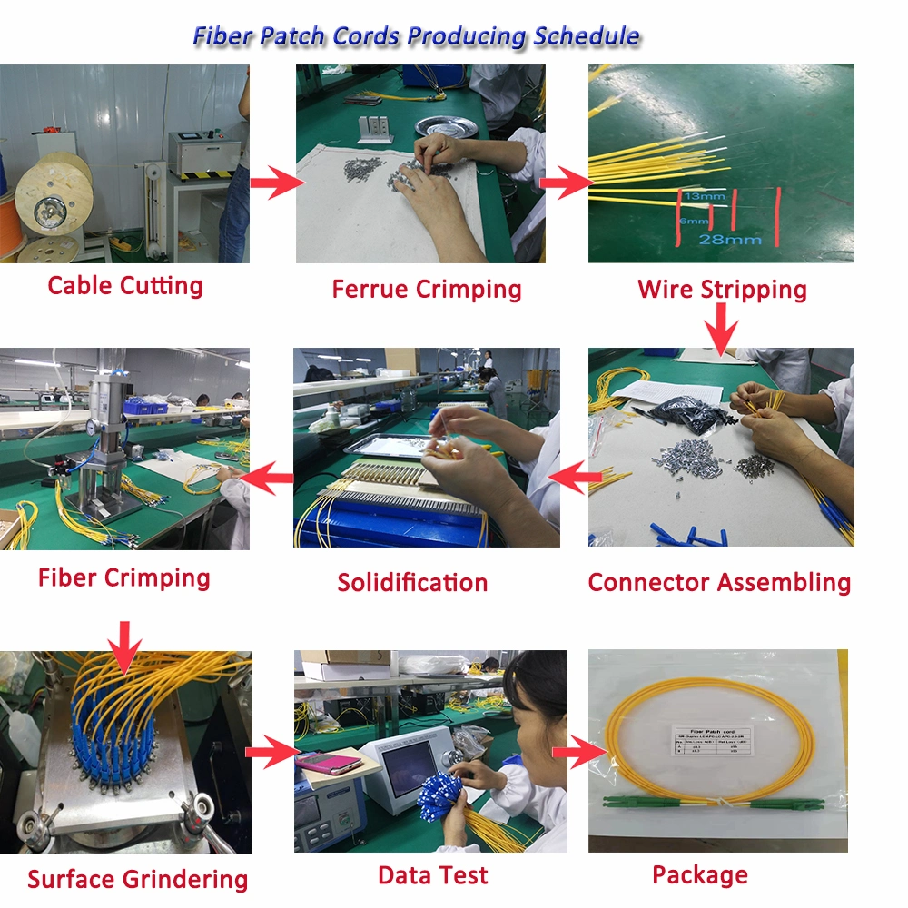 10GB Multimode Om3 Simplex Duplex Fiber Optical Patch Cords with 0.9mm/2.0mm/3.0mm Options